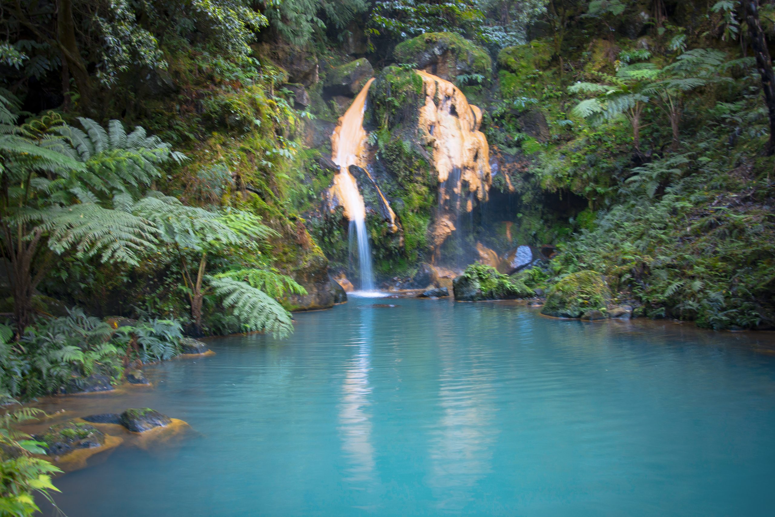 Álvaro Palácios | Caldeira Velha hot spring, perfect for the weather of the Azores in February