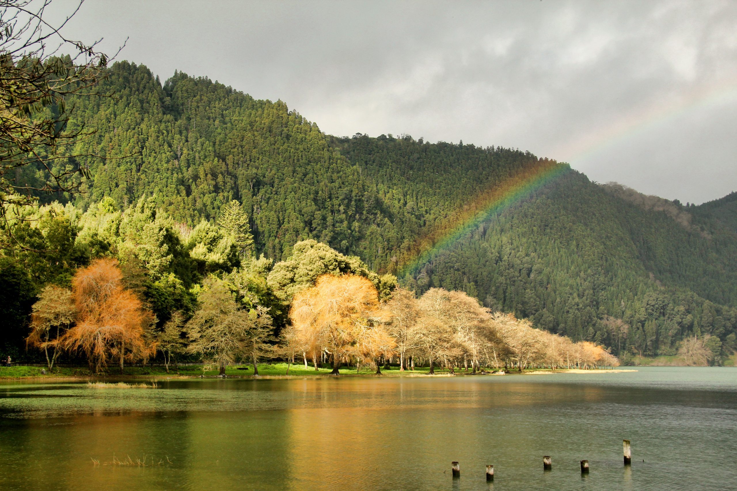 David Rodrigues | Rainbow on Furnas lake in São Miguel, a typical scenery of January in Azores