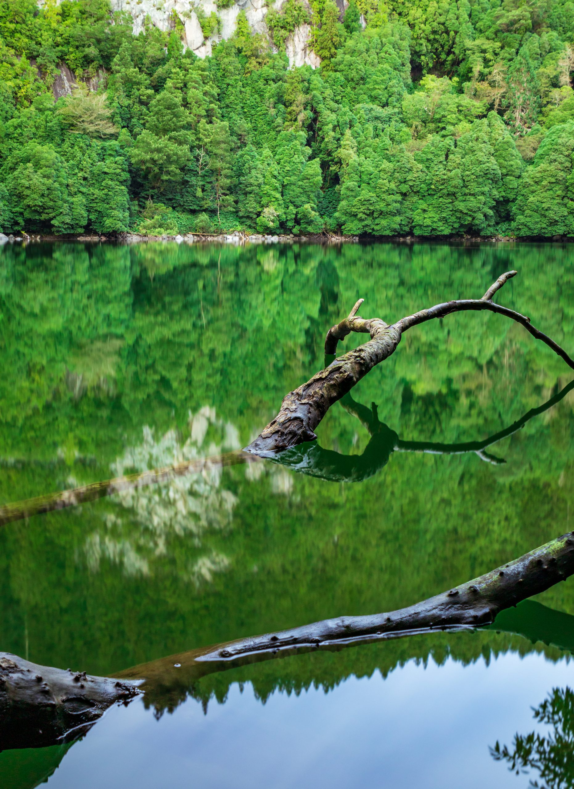 Marco Medeiros | Beautiful lake in the middle of São Miguel - Lagoa do Congro