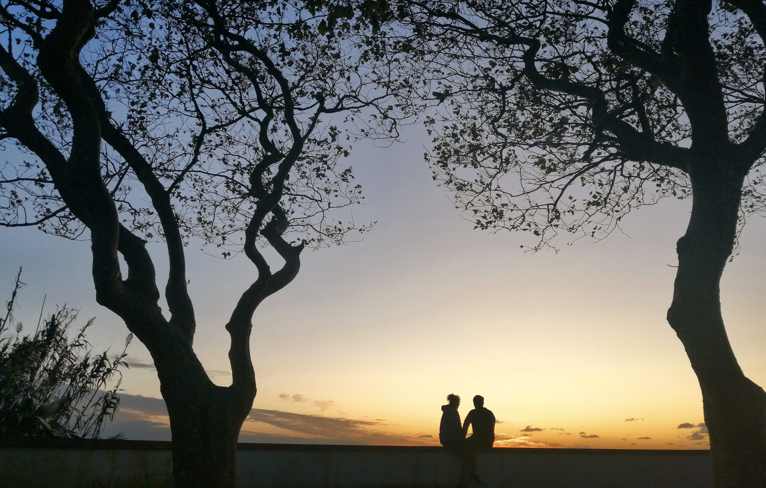 David Rodrigues | Sunset at Feteiras viewpoint