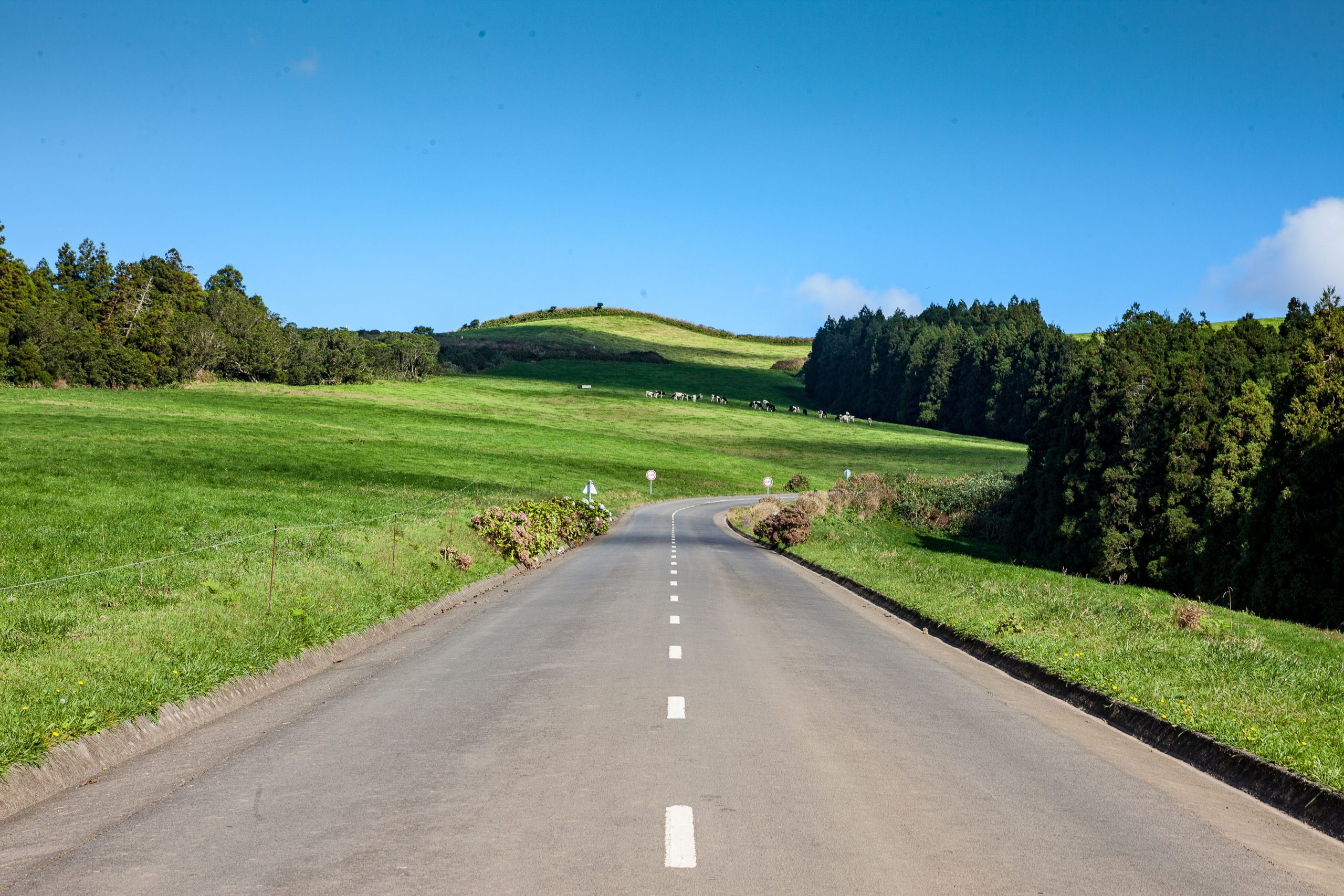 David Rodrigues | The road to Lagoa do Fogo's viewpoints